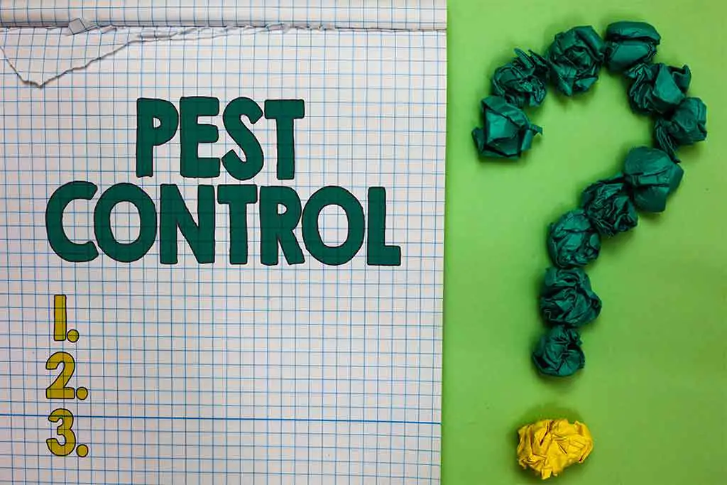 Do Popular Pest Control Methods Actually Work?