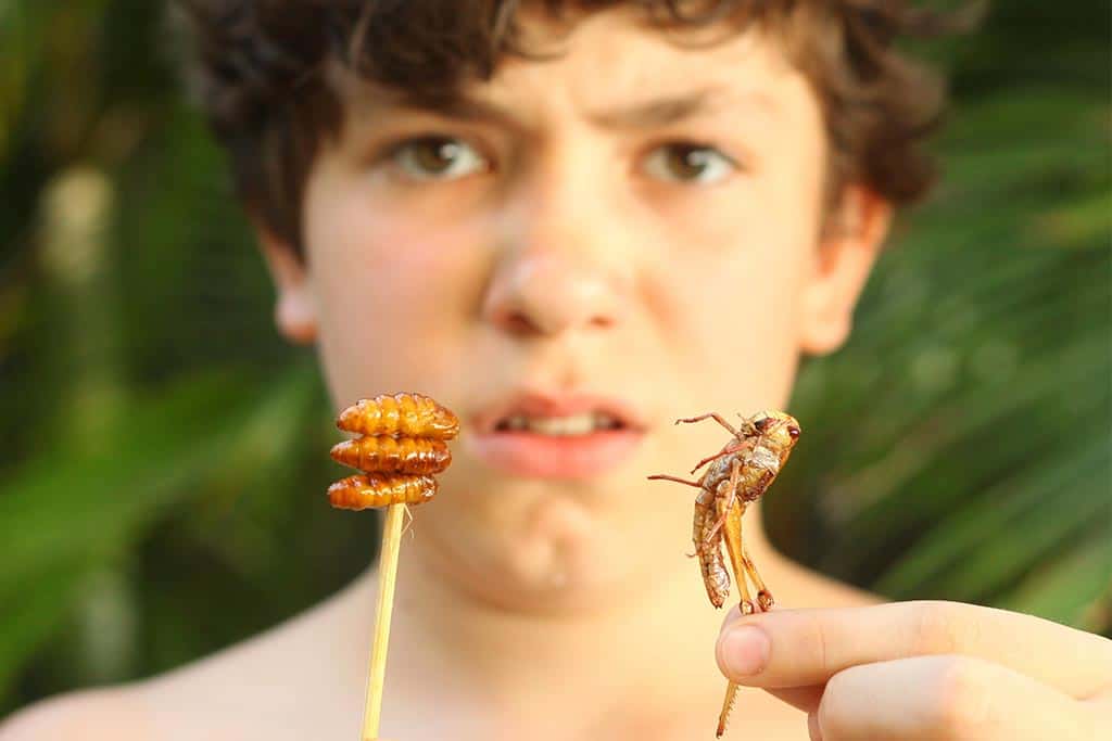 Why Do Humans Find Insects So Incredibly Disgusting?