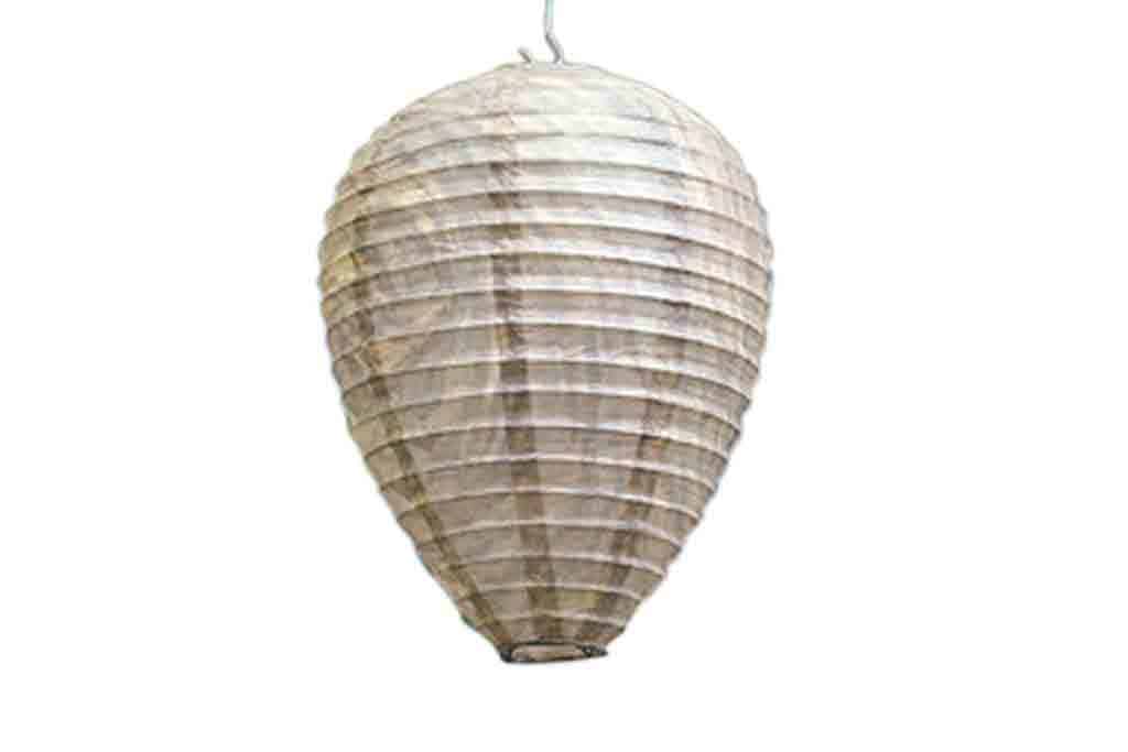 Example Of A Fake Wasp Nest