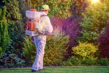 Calling Pest Control To Deal With Wasps