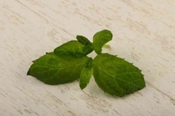 Peppermint leaves to help keep wasps away