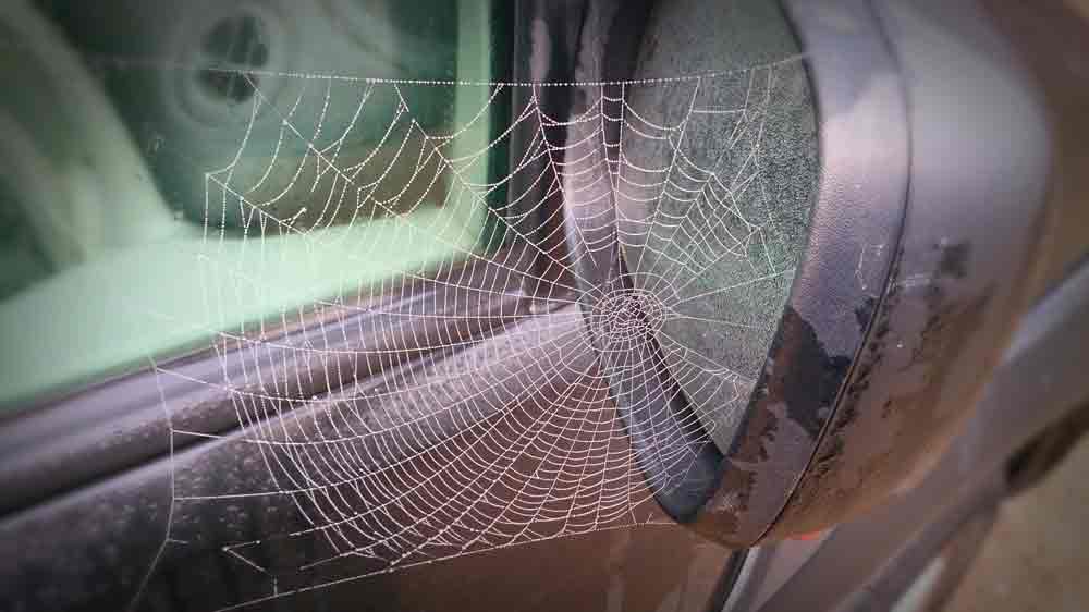 Spider Web On Car Next To Crevice In Car Mirror