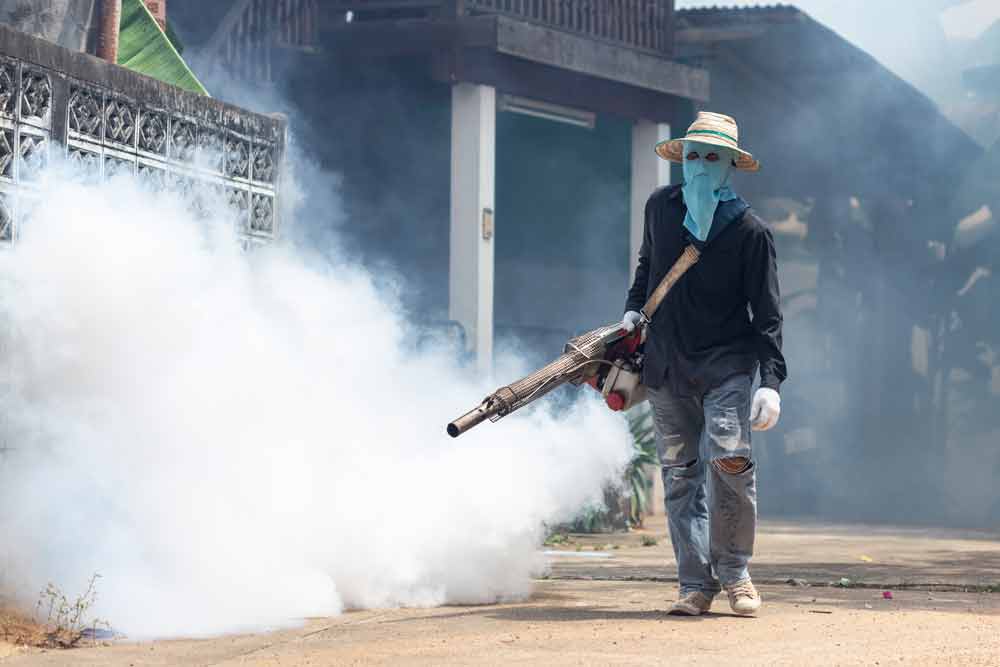 Do Pest Control Companies Spray for Mosquitoes?