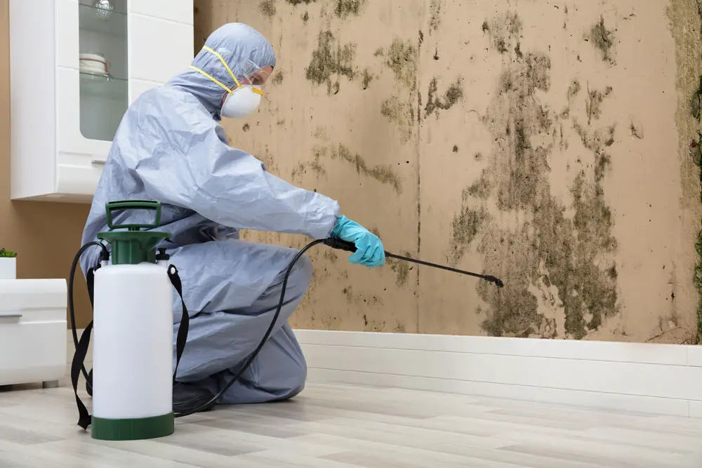 How Long Does Pest Control Treatment Normally Last?