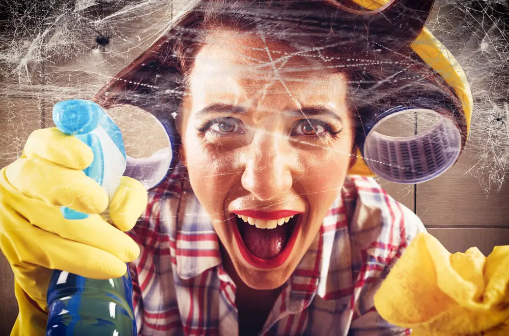 How To Get Rid of Spiders In Your Home and Keep Them Out
