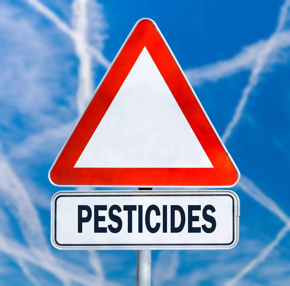 Just How Safe Are Pesticides and Pest Control?