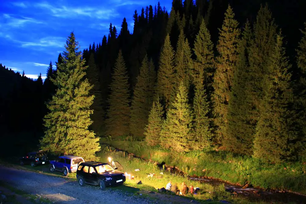 The Steps to Take to Ensure a Safe Camping Trip in Wolf Country