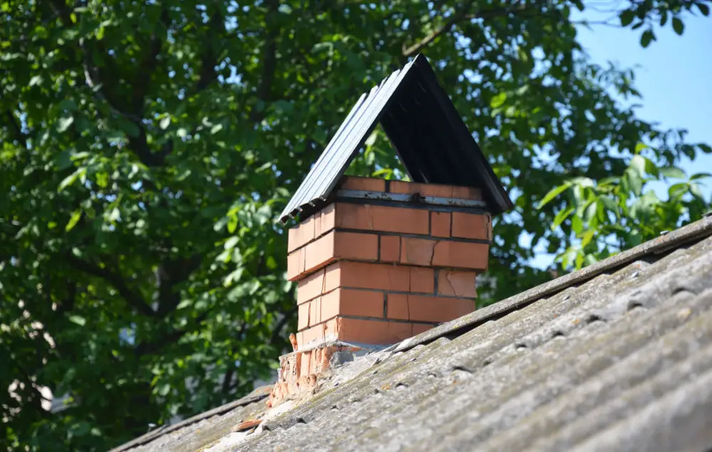 Observe your chimney and nearby structures. Look for signs of entry