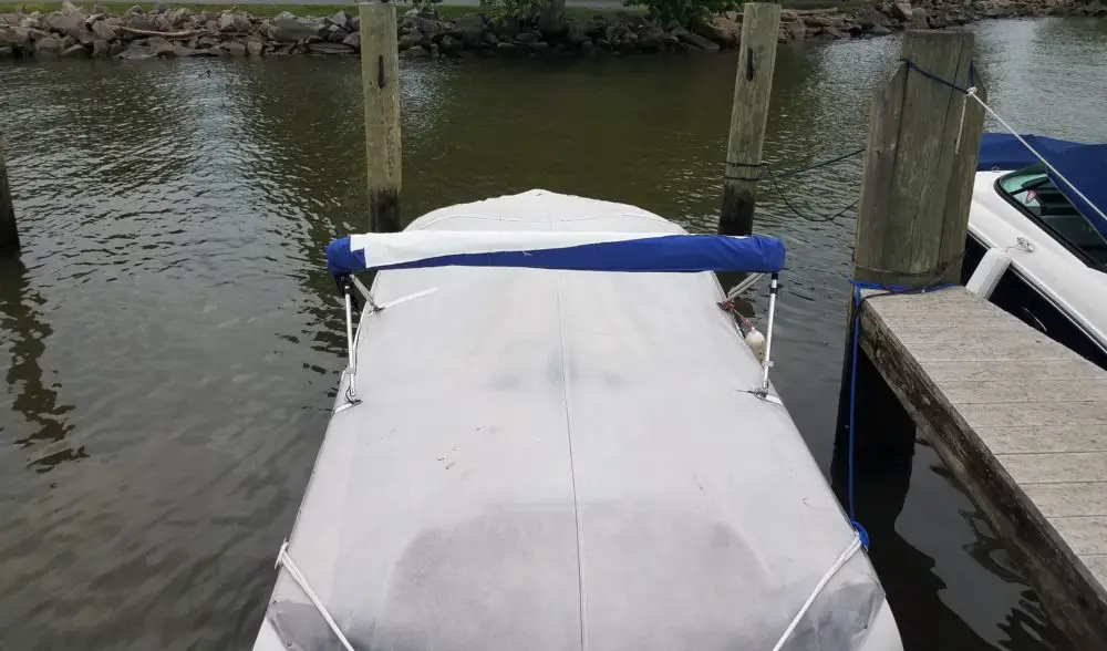 Ways to Keep Birds Off Your Dock and Boat