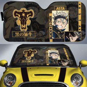 Asta Car Sunshade Custom